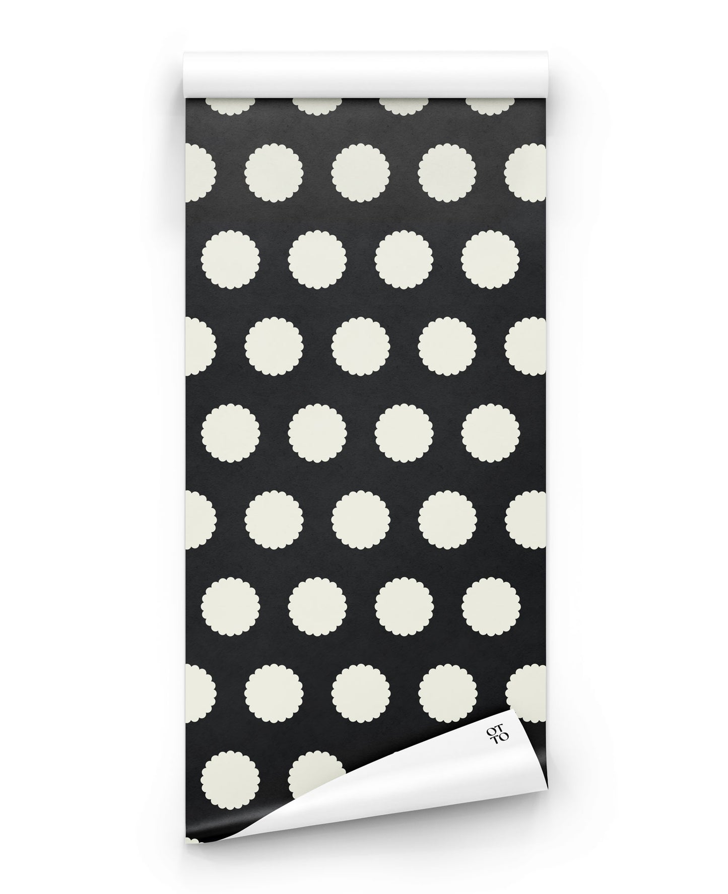 Polka Pop